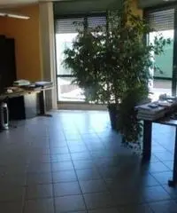 Vendita Capannone in Via Cascina Venina Vendita Capannone in Via Cascina Venina