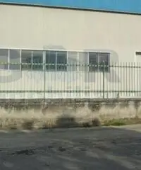 Affitto Capannone in via padula