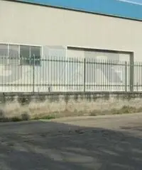 Affitto Capannone in via padula