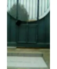 RifITI 027-890 - Capannone Industriale in Affitto a Sant'Antimo di 140 mq RifITI 027-890 - Capannone Industriale in Affitto a Sant'Antimo di 140 mq