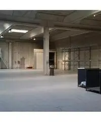 RifCP003-B - Capannone Industriale in Affitto a Trecate di 7000 mq