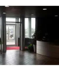 RifCP003-B - Capannone Industriale in Affitto a Trecate di 7000 mq