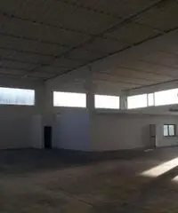 Affitto Capannone da 1400mq