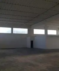 Affitto Capannone da 1400mq