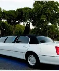 Affitto Limousine e auto d'epoca Affitto Limousine e auto d'epoca