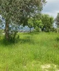 Mosciano SantAngelo: Terreno Altro Mosciano SantAngelo: Terreno Altro