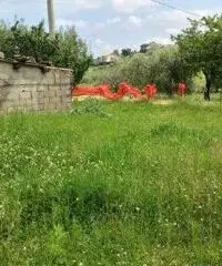 Mosciano SantAngelo: Terreno Altro Mosciano SantAngelo: Terreno Altro