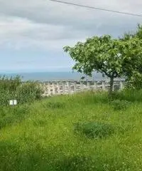 Mosciano SantAngelo: Terreno Altro Mosciano SantAngelo: Terreno Altro