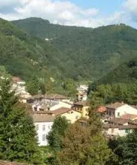 Appartamento di 5 locali in Affitto Appartamento di 5 locali in Affitto