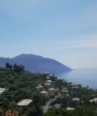 Appartamento a Recco in provincia di Genova Appartamento a Recco in provincia di Genova