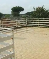 Villa di 5 locali in Vendita Villa di 5 locali in Vendita