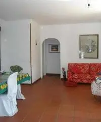 Nettuno: Villa 5 Locali o piu Nettuno: Villa 5 Locali o piu