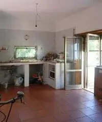 Nettuno: Villa 5 Locali o piu Nettuno: Villa 5 Locali o piu