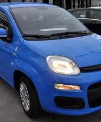 FIAT Panda 1.2 Pandazzurri NUOVA - PREZZO PROMO!!! rif. 7189508 FIAT Panda 1.2 Pandazzurri NUOVA - PREZZO PROMO!!! rif. 7189508