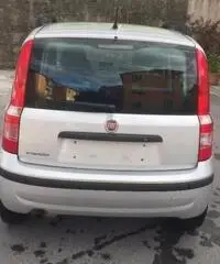 FIAT Panda 1.2 Dynamic Eco rif. 7191139 FIAT Panda 1.2 Dynamic Eco rif. 7191139