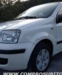 FIAT Panda 1.2 Dynamic rif. 7196110 FIAT Panda 1.2 Dynamic rif. 7196110