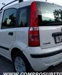 FIAT Panda 1.2 Dynamic rif. 7196110 FIAT Panda 1.2 Dynamic rif. 7196110
