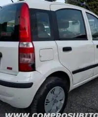 FIAT Panda 1.2 Dynamic rif. 7196110 FIAT Panda 1.2 Dynamic rif. 7196110