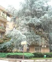 Appartamento in zona Ospedale a Caserta Appartamento in zona Ospedale a Caserta