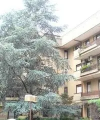 Appartamento in zona Ospedale a Caserta Appartamento in zona Ospedale a Caserta