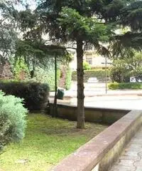 Appartamento in zona Ospedale a Caserta Appartamento in zona Ospedale a Caserta