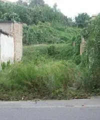 Terreno in Vendita in trattativa riservata Terreno in Vendita in trattativa riservata