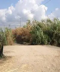 GIOIA TAURO VENDE: Terreno agricolo zona lungomare sud GIOIA TAURO VENDE: Terreno agricolo zona lungomare sud