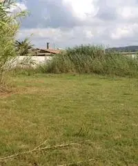 GIOIA TAURO VENDE: Terreno agricolo zona lungomare sud GIOIA TAURO VENDE: Terreno agricolo zona lungomare sud