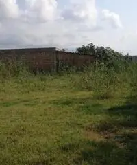 GIOIA TAURO VENDE: Terreno agricolo zona lungomare sud GIOIA TAURO VENDE: Terreno agricolo zona lungomare sud
