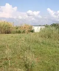 GIOIA TAURO VENDE: Terreno agricolo zona lungomare sud GIOIA TAURO VENDE: Terreno agricolo zona lungomare sud