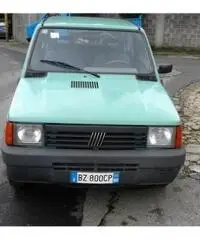 FIAT Panda 1100 i.e. cat Young rif. 7162218 FIAT Panda 1100 i.e. cat Young rif. 7162218