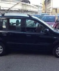 FIAT Panda 1.2 Dynamic GPL 65000KM radio-clima-comando city rif. 7166830 FIAT Panda 1.2 Dynamic GPL 65000KM radio-clima-comando city rif. 7166830