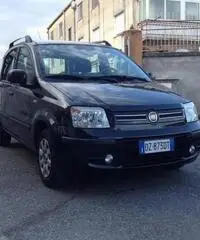 FIAT Panda 1.2 Dynamic GPL 65000KM radio-clima-comando city rif. 7166830 FIAT Panda 1.2 Dynamic GPL 65000KM radio-clima-comando city rif. 7166830