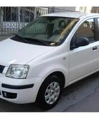 FIAT Panda 1.3 MJT 16V Dynamic rif. 7162296 FIAT Panda 1.3 MJT 16V Dynamic rif. 7162296