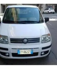 FIAT Panda 1.3 MJT 16V Dynamic rif. 7162296 FIAT Panda 1.3 MJT 16V Dynamic rif. 7162296