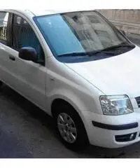 FIAT Panda 1.3 MJT 16V Dynamic rif. 7162296 FIAT Panda 1.3 MJT 16V Dynamic rif. 7162296
