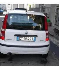 FIAT Panda 1.3 MJT 16V Dynamic rif. 7162296 FIAT Panda 1.3 MJT 16V Dynamic rif. 7162296