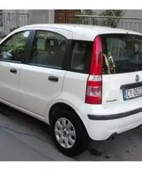 FIAT Panda 1.3 MJT 16V Dynamic rif. 7162296 FIAT Panda 1.3 MJT 16V Dynamic rif. 7162296