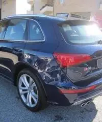 AUDI SQ5 3.0 V6 TDI Biturbo quattro tiptronic rif. 6480912 AUDI SQ5 3.0 V6 TDI Biturbo quattro tiptronic rif. 6480912