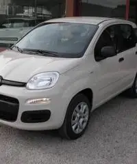 FIAT Panda 1.2 Easy rif. 5989996 FIAT Panda 1.2 Easy rif. 5989996