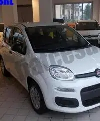 FIAT Panda 1.2 Easy rif. 7012439 FIAT Panda 1.2 Easy rif. 7012439