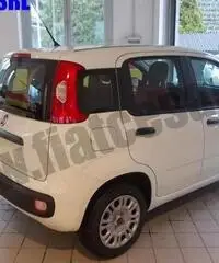FIAT Panda 1.2 Easy rif. 7012439 FIAT Panda 1.2 Easy rif. 7012439