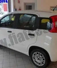 FIAT Panda 1.2 Easy rif. 7012439 FIAT Panda 1.2 Easy rif. 7012439