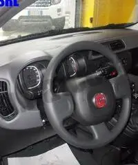FIAT Panda 1.2 Easy rif. 7012439 FIAT Panda 1.2 Easy rif. 7012439