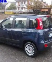 FIAT Panda 1.2 Lounge rif. 7164117 FIAT Panda 1.2 Lounge rif. 7164117