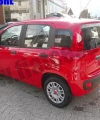 FIAT Panda 1.2 Pandazzurri rif. 6615248 FIAT Panda 1.2 Pandazzurri rif. 6615248