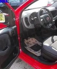 FIAT Panda 1.2 Pandazzurri rif. 6615248 FIAT Panda 1.2 Pandazzurri rif. 6615248