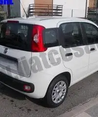 FIAT Panda 1.3 MJT 95 CV S&S Easy rif. 7084152 FIAT Panda 1.3 MJT 95 CV S&S Easy rif. 7084152
