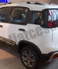 FIAT Panda Cross 0.9 TwinAir Turbo S&S 4x4 rif. 7012442 FIAT Panda Cross 0.9 TwinAir Turbo S&S 4x4 rif. 7012442