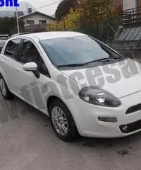 FIAT Punto 1.3 MJT II S&S 95 CV 5 porte Easy rif. 7110673 FIAT Punto 1.3 MJT II S&S 95 CV 5 porte Easy rif. 7110673